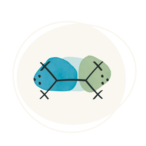 chantier solidaire Maroc