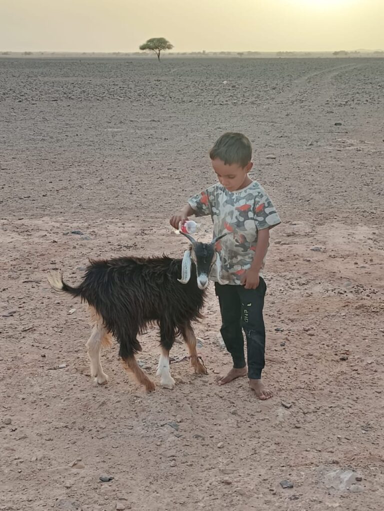 WhatsApp Image 2026-02-06 at 23.34.06