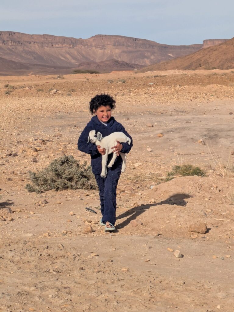 WhatsApp Image 2026-02-07 at 19.49.12 (3)